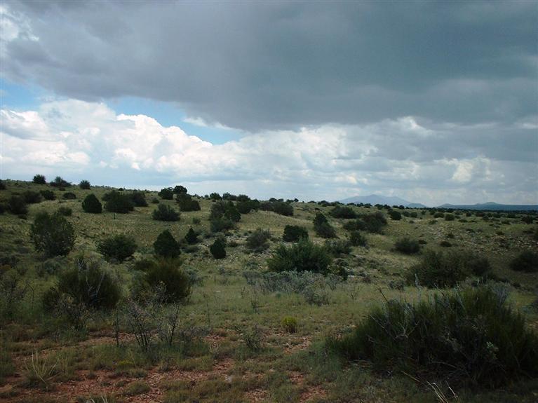 7757-7925 Sharp Knife Road Williams, AZ 86046 - Photo 4 of 8 Additional Photo