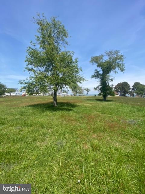 23683 Tom Price Road, Unit LOT 8 Deal Island, MD 21821 - Photo 10 of 15 Side Property