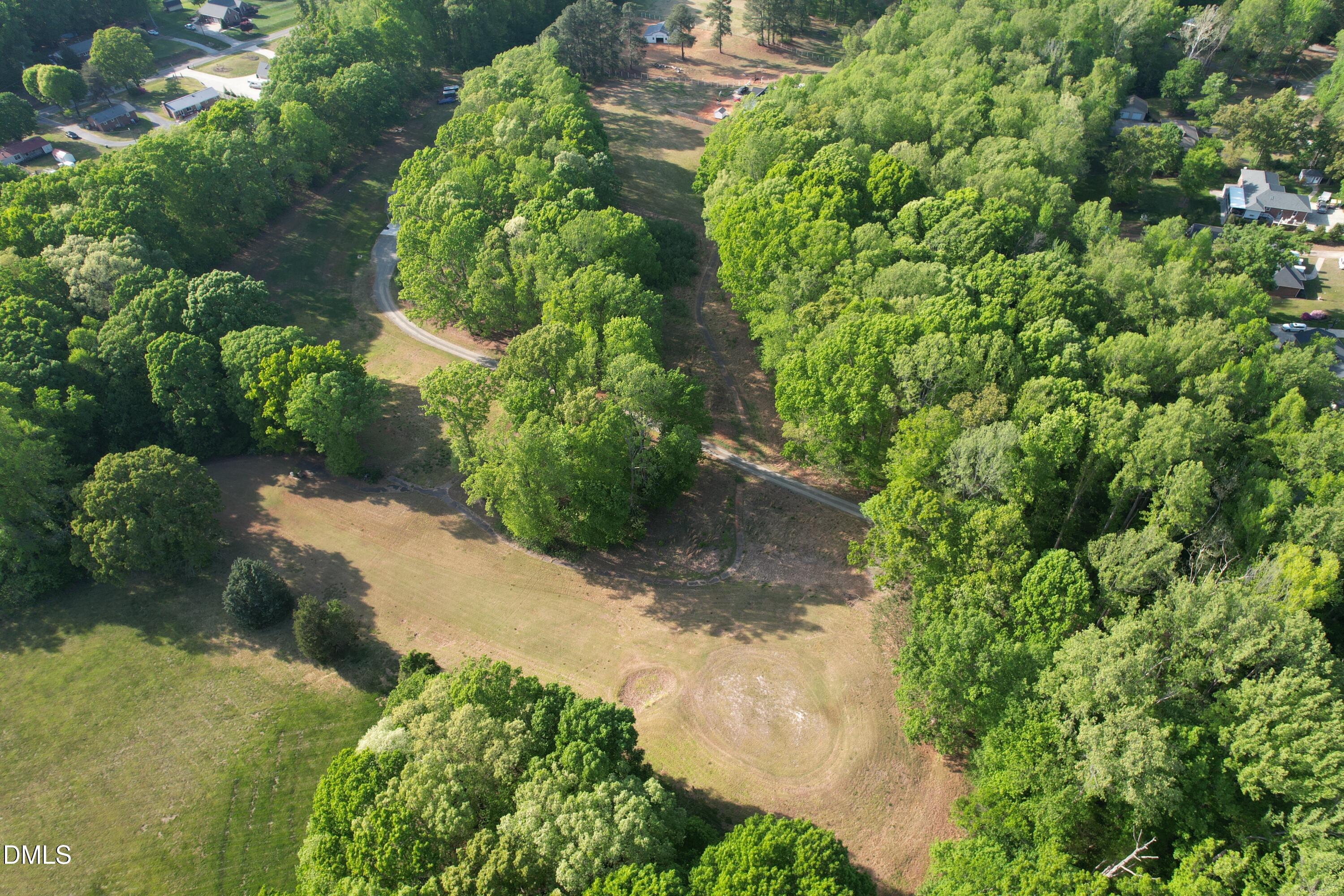 254 Fairway Drive Roxboro, NC 27574 - Photo 27 of 28 a plant that is in a garden