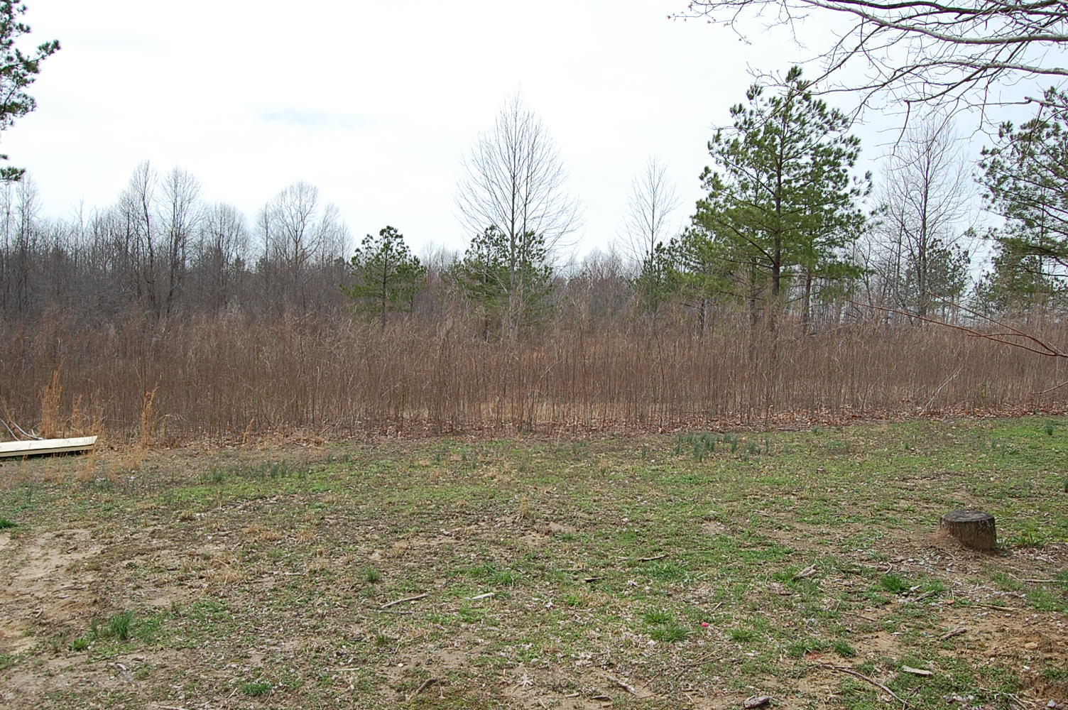 71 Dees Road Dunlap, TN 37327 - Photo 34 of 61 1261489 - 71 Dees Rd 029