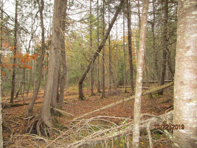 0 Mill Creek Road Orrington, ME 04474 - Photo 8 of 9 IMG_6907
