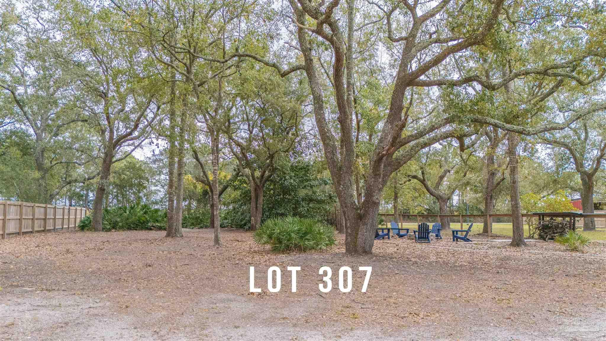 307 Katie Street Milton, FL 32583 - Photo 12 of 17 a view of a street with a trees