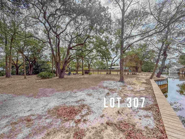 a view of backyard with tree