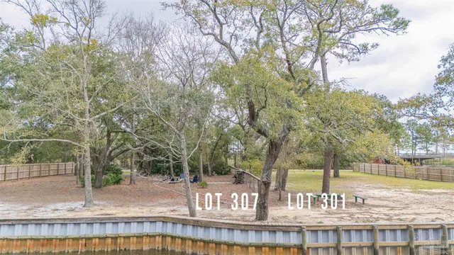 a view of a park with large trees