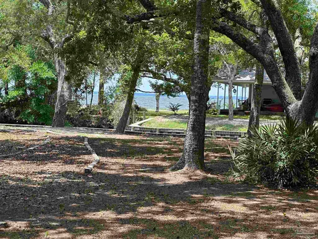 a view of backyard with green space