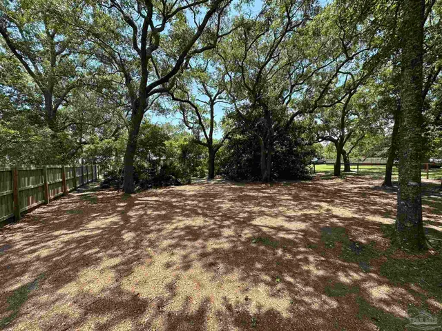 a view of outdoor space with trees