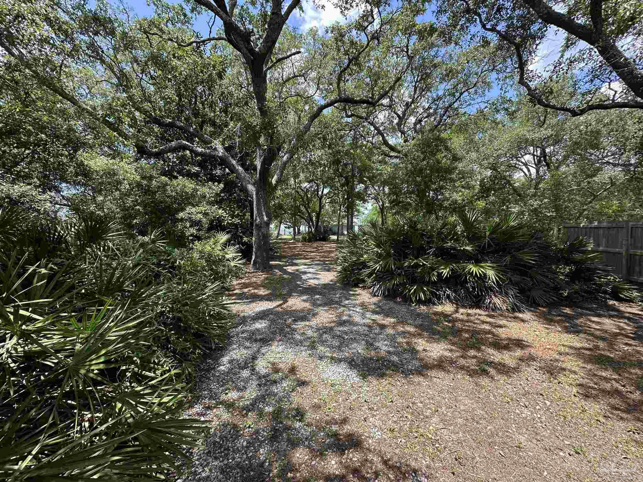 307 Katie Street Milton, FL 32583 - Photo 10 of 17 a view of a forest with trees in the background