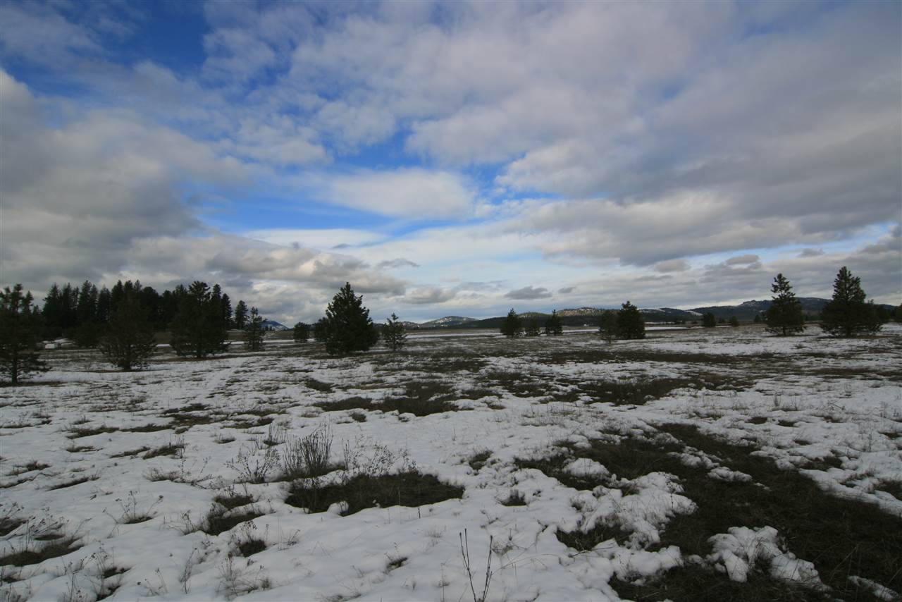 5317 East Oregon Road Elk, WA 99009 - Photo 1 of 10