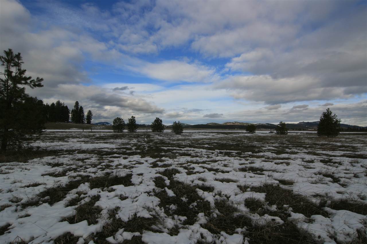 5317 East Oregon Road Elk, WA 99009 - Photo 2 of 10