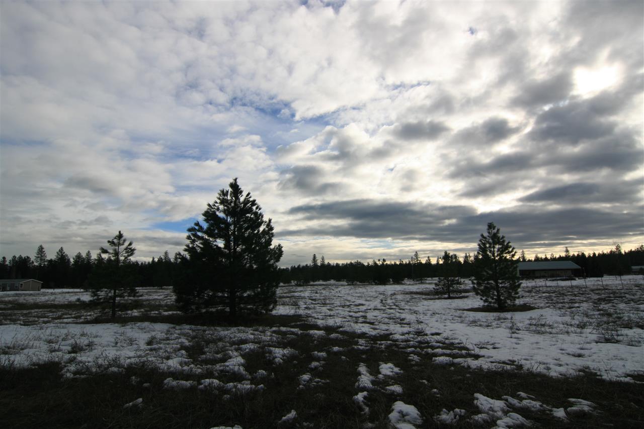 5317 East Oregon Road Elk, WA 99009 - Photo 3 of 10