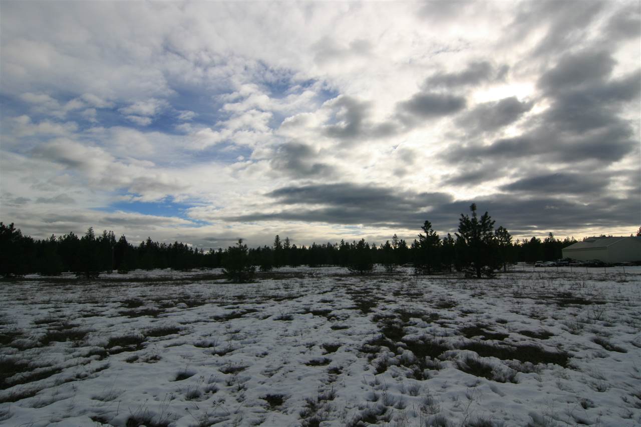 5317 East Oregon Road Elk, WA 99009 - Photo 4 of 10