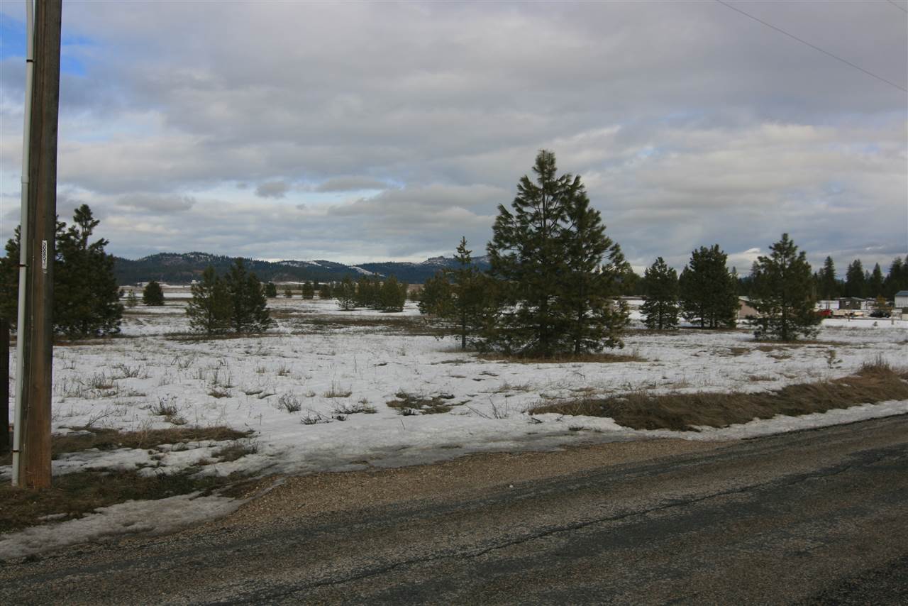 5317 East Oregon Road Elk, WA 99009 - Photo 6 of 10