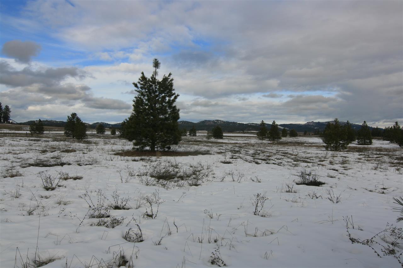 5317 East Oregon Road Elk, WA 99009 - Photo 9 of 10