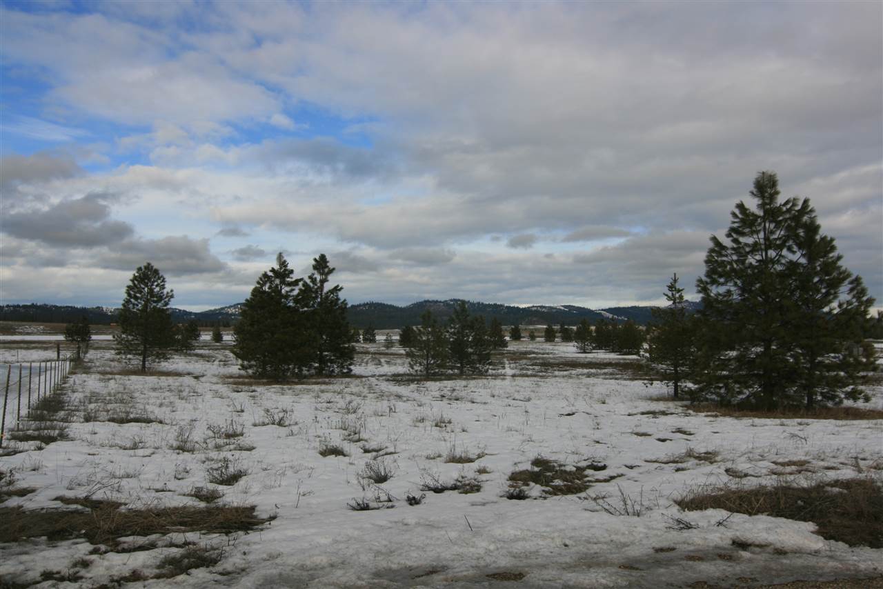5317 East Oregon Road Elk, WA 99009 - Photo 10 of 10