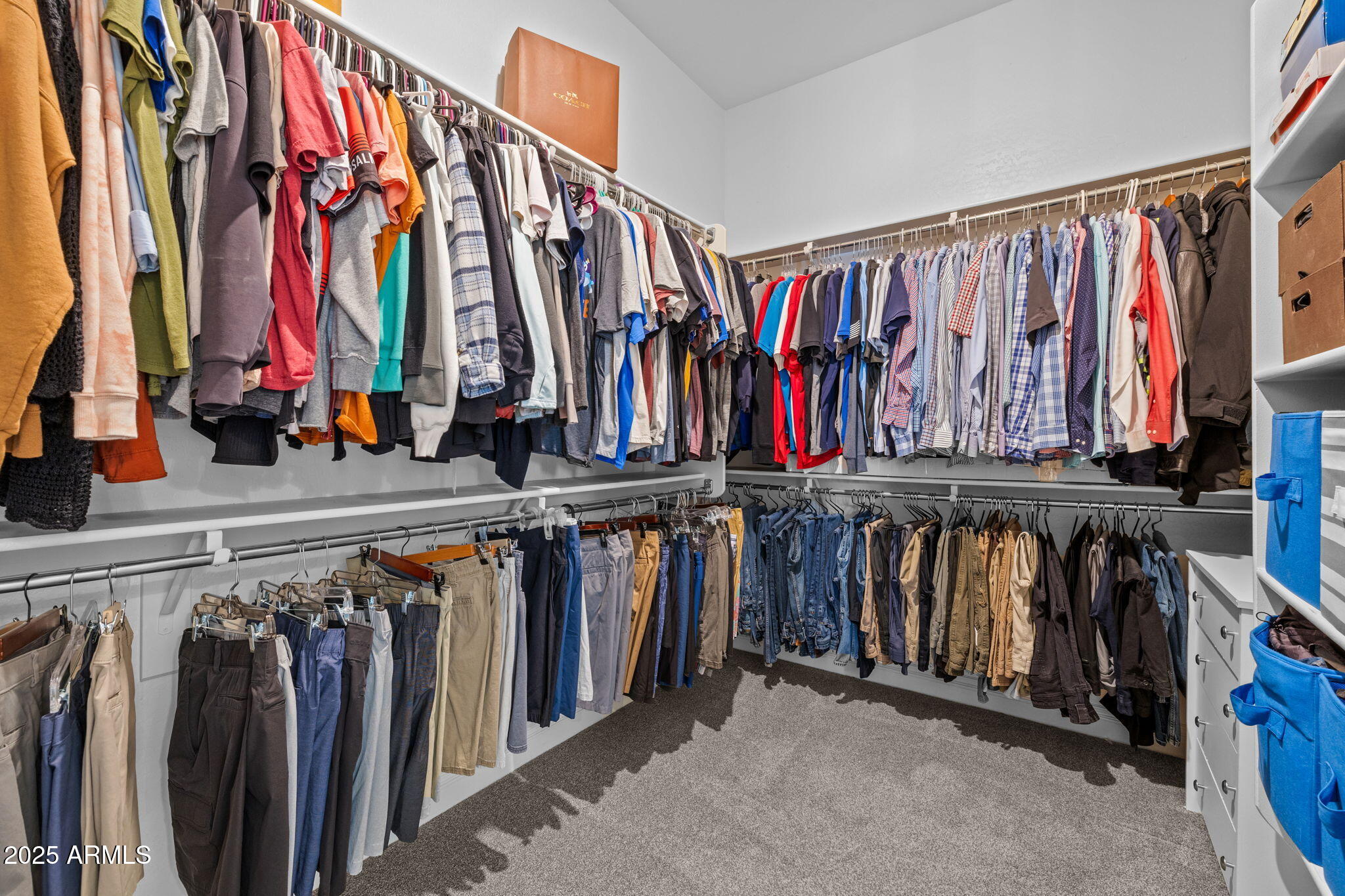10535 Diffraction Avenue Mesa, AZ 85212 - Photo 61 of 126 a view of walk in closet with clothes