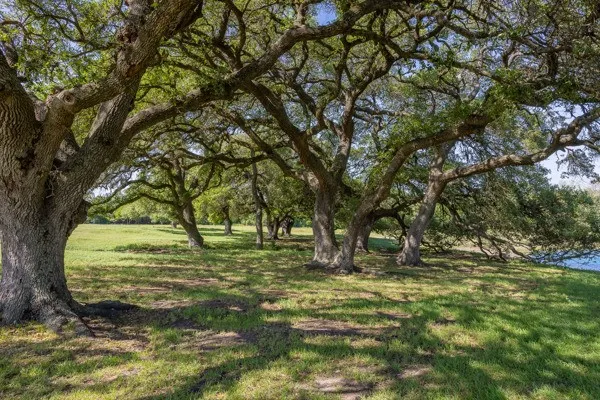 $3,250,000 | 6808 Cedar Hill Road, Brenham, TX 77833