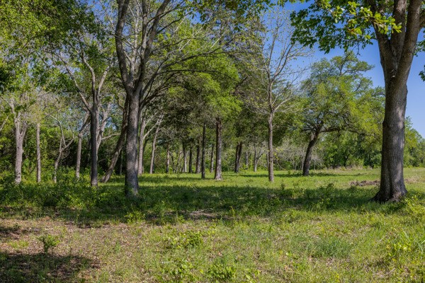 6808 Cedar Hill Road Brenham, TX 77833 - Photo 36 of 40