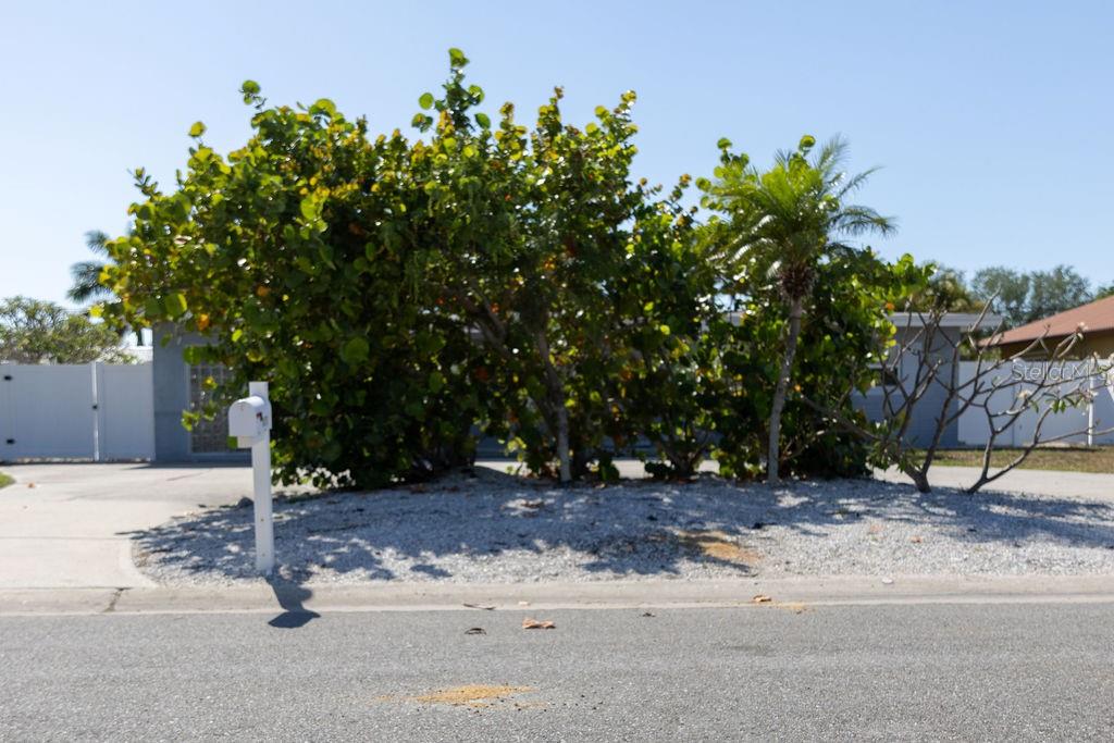 10126 4th Street East Treasure Island, FL 33706 - Photo 5 of 34