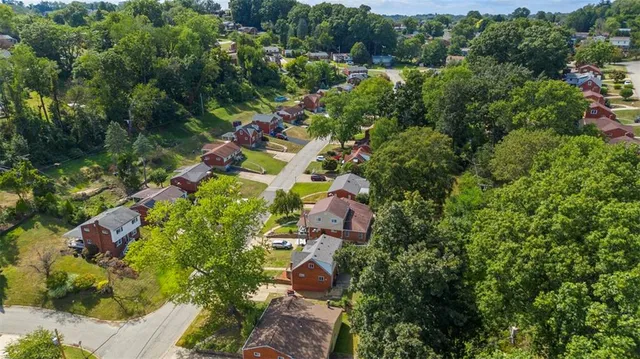a view of a garden with plants and large trees