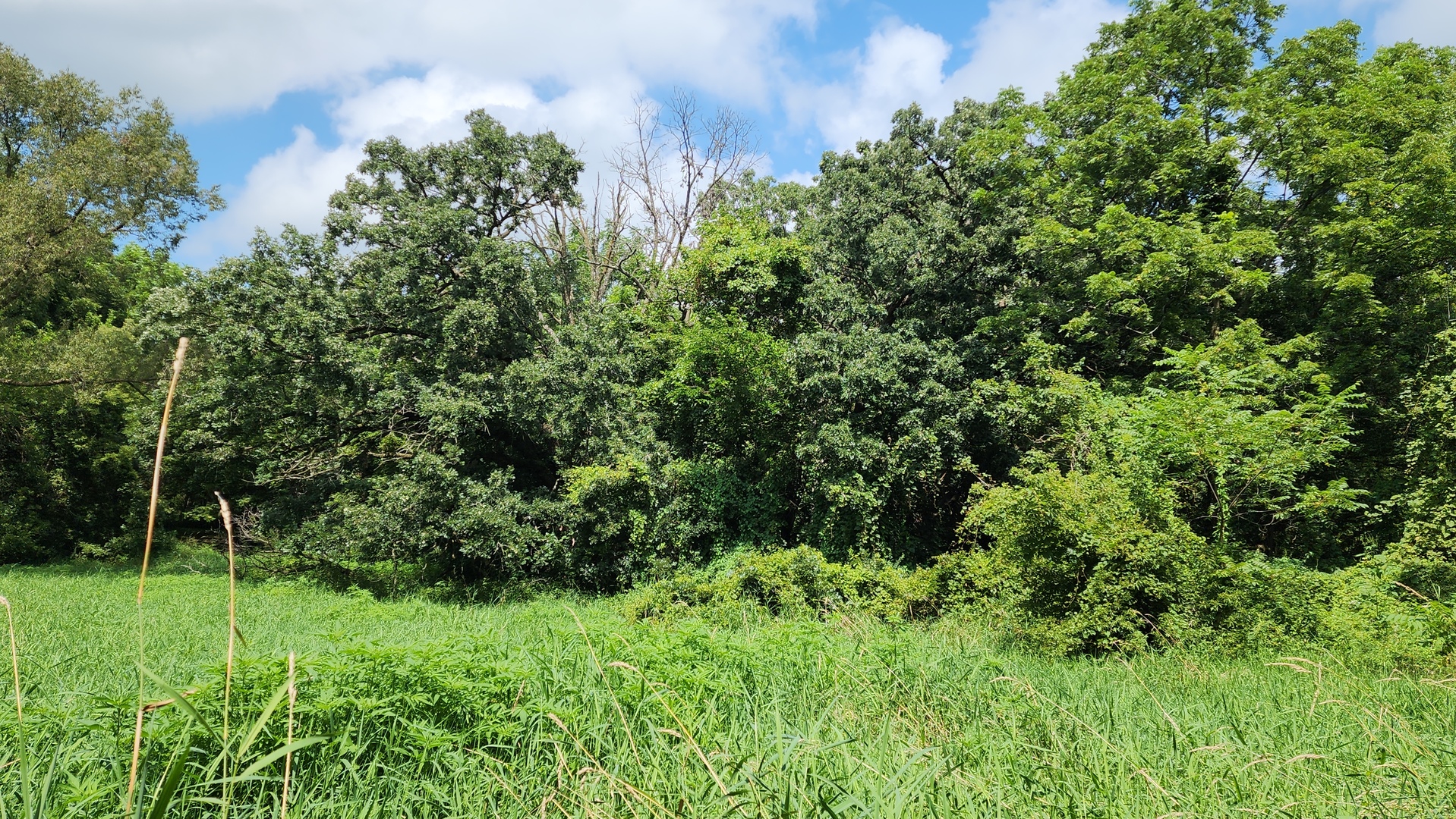 20105 Oak Grove Road Harvard, IL 60033 - Photo 51 of 62