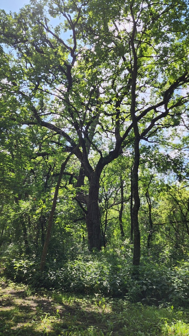 20105 Oak Grove Road Harvard, IL 60033 - Photo 54 of 62