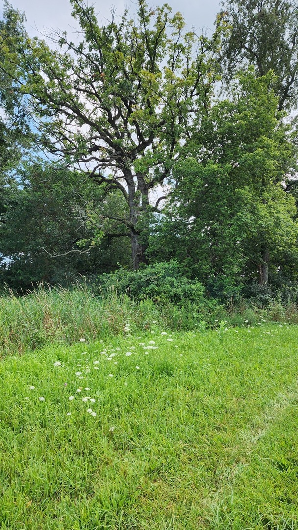 20105 Oak Grove Road Harvard, IL 60033 - Photo 55 of 62