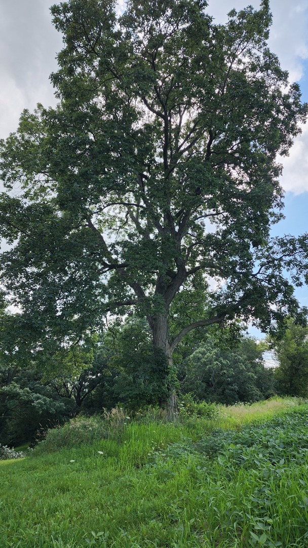 20105 Oak Grove Road Harvard, IL 60033 - Photo 56 of 62