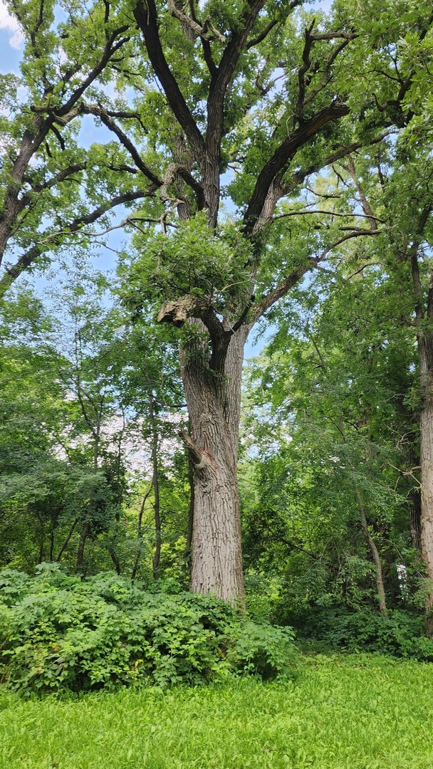 20105 Oak Grove Road Harvard, IL 60033 - Photo 60 of 62