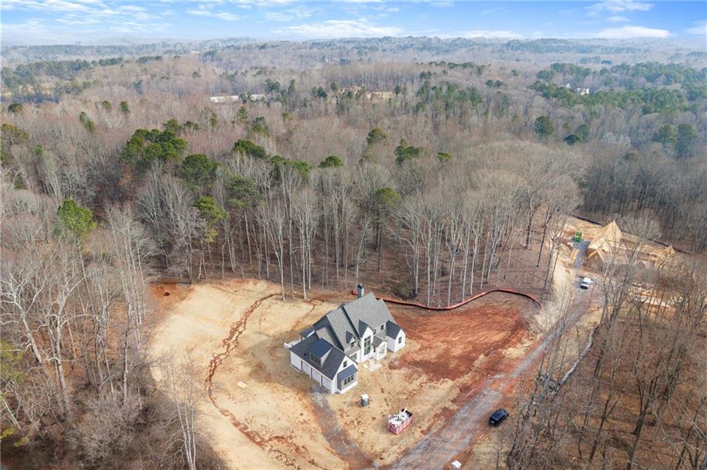 422 Old Orange Mill Road Canton, GA 30115 - Photo 52 of 58