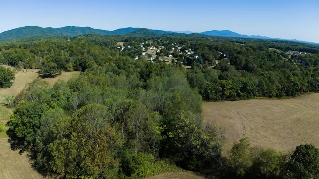 $1,199,900 | 1079 High Oaks Drive, Forest, VA 24551