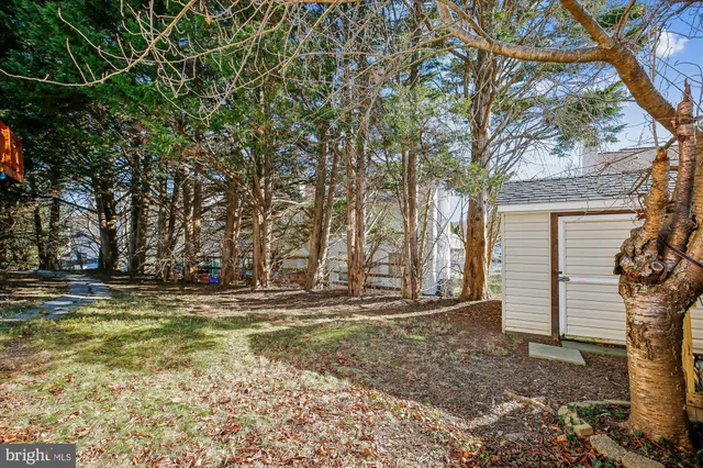 a view of a backyard