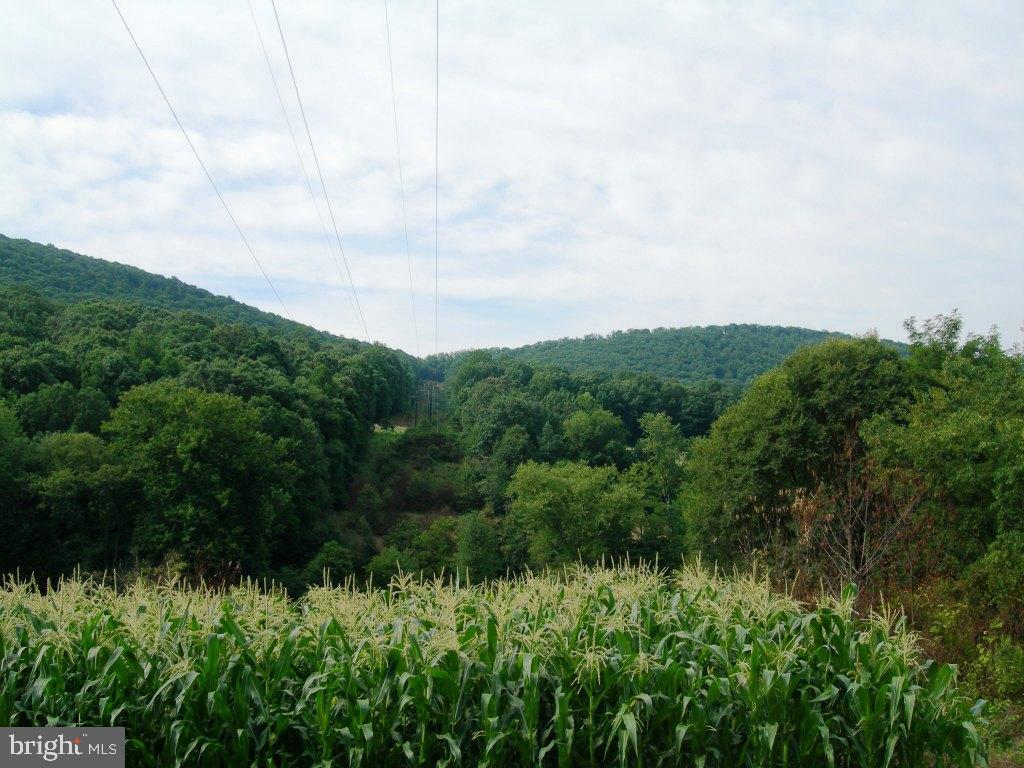 0 Mill Road Elizabethville, PA 17023 - Photo 2 of 6 Gallery Image 2