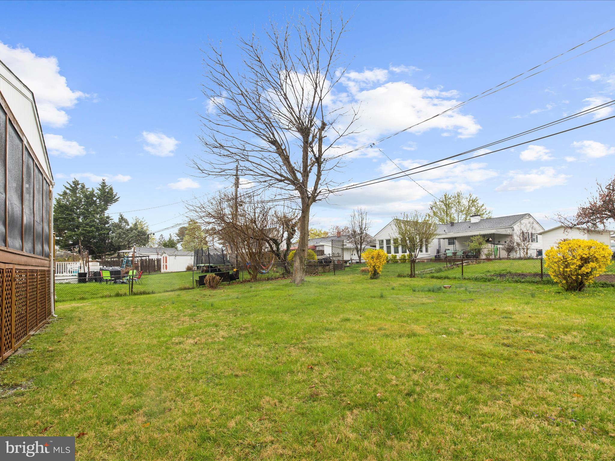6102 Moorefield Road Baltimore, MD 21228 - Photo 36 of 38 a view of a trees in front of a house