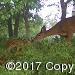179 Upper Notch Road Albrightsville, PA 18210 - Photo 23 of 23 frequent wildlife sightings