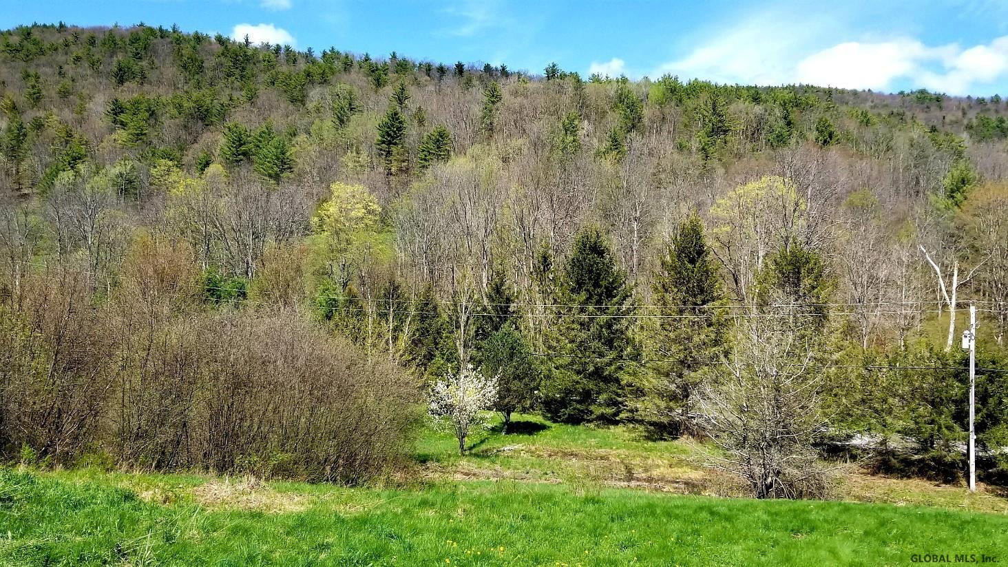 761 West Fulton Road Fulton, NY 12194 - Photo 17 of 25 Photo 18