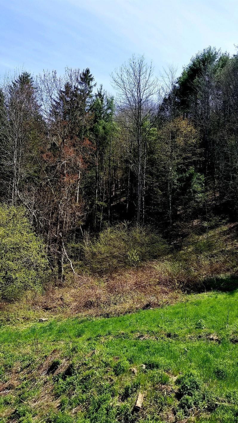 761 West Fulton Road Fulton, NY 12194 - Photo 21 of 25 Photo 22