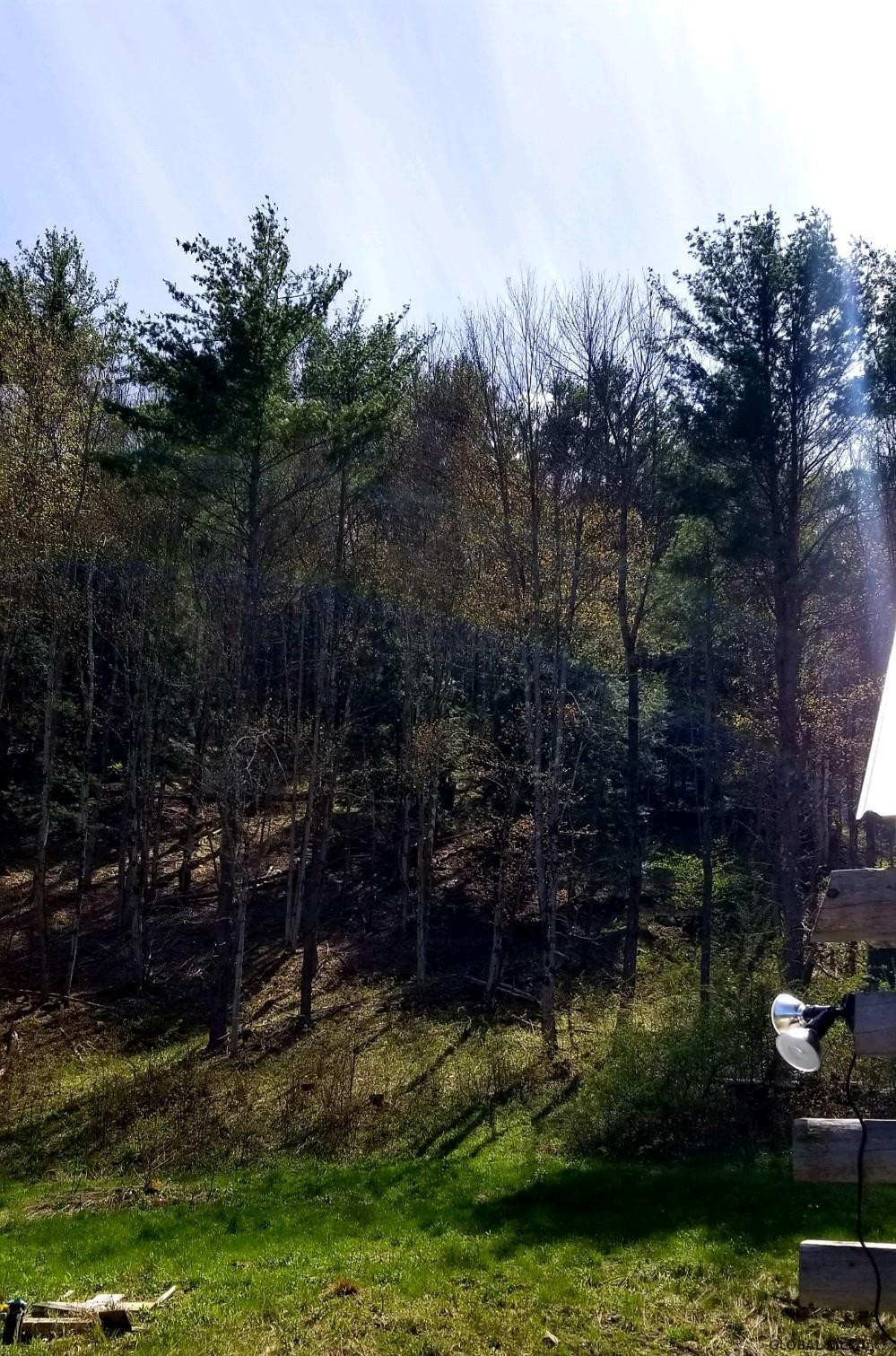 761 West Fulton Road Fulton, NY 12194 - Photo 22 of 25 Photo 23