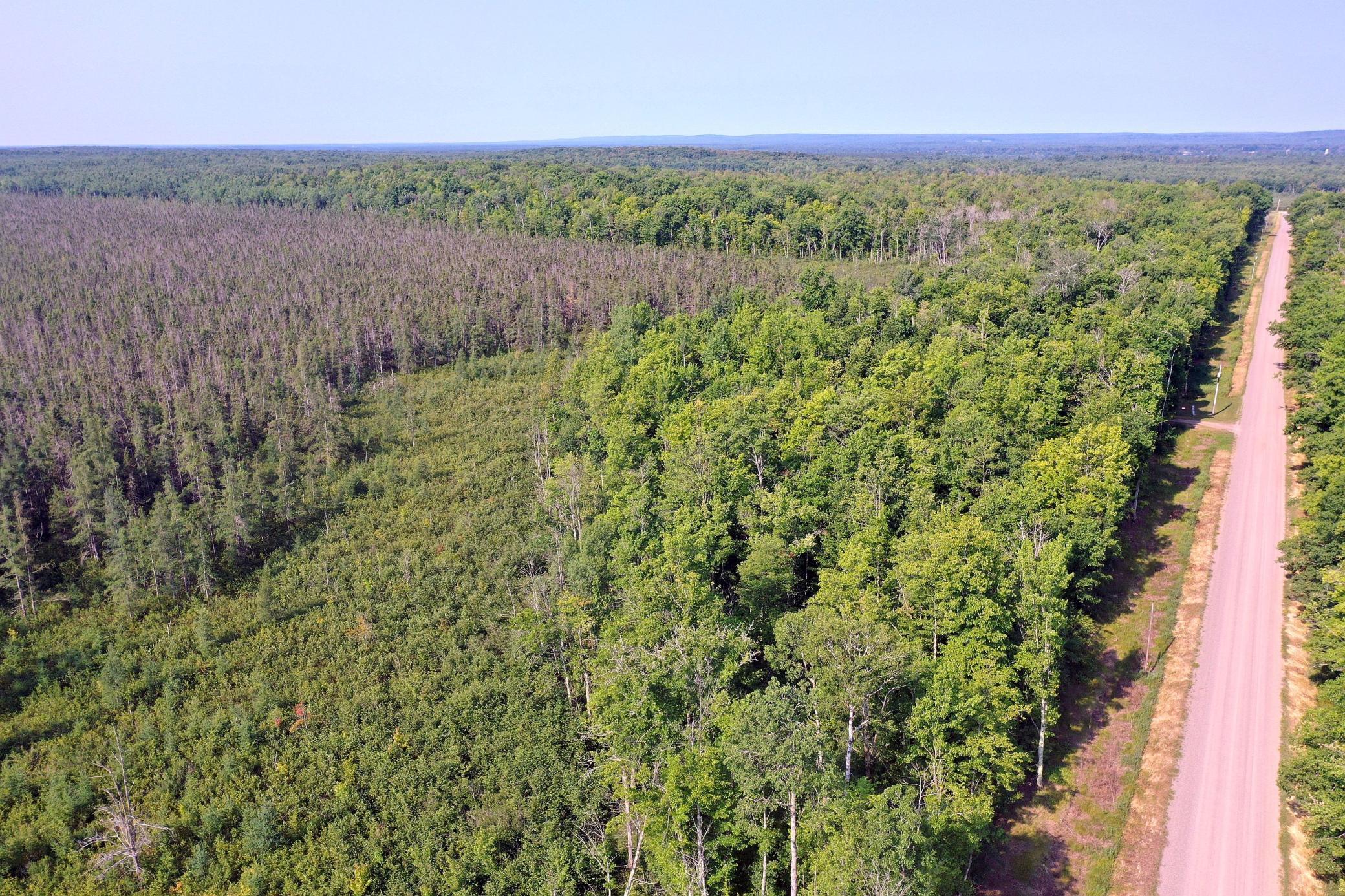 W9527 Mile Road Ladysmith, WI 54848 - Photo 41 of 45 Gallery Image 41
