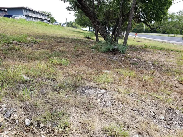 a view of a yard with a tree
