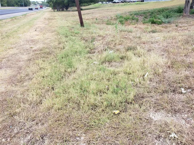 a view of a yard with a tree