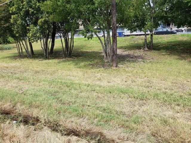 a view of backyard with tree
