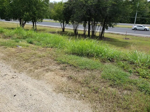 a view of yard with tree s