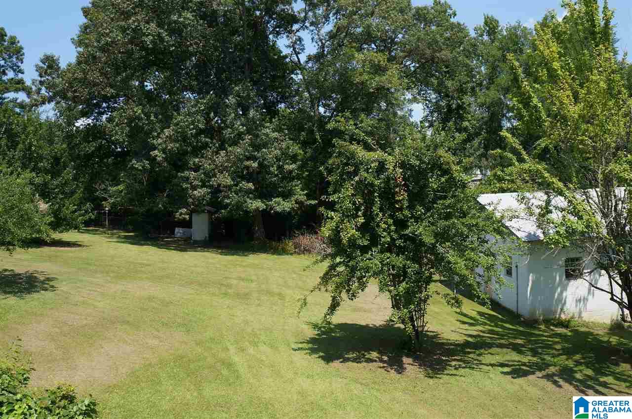 203 Bon Air Road Childersburg, AL 35044 - Photo 40 of 45