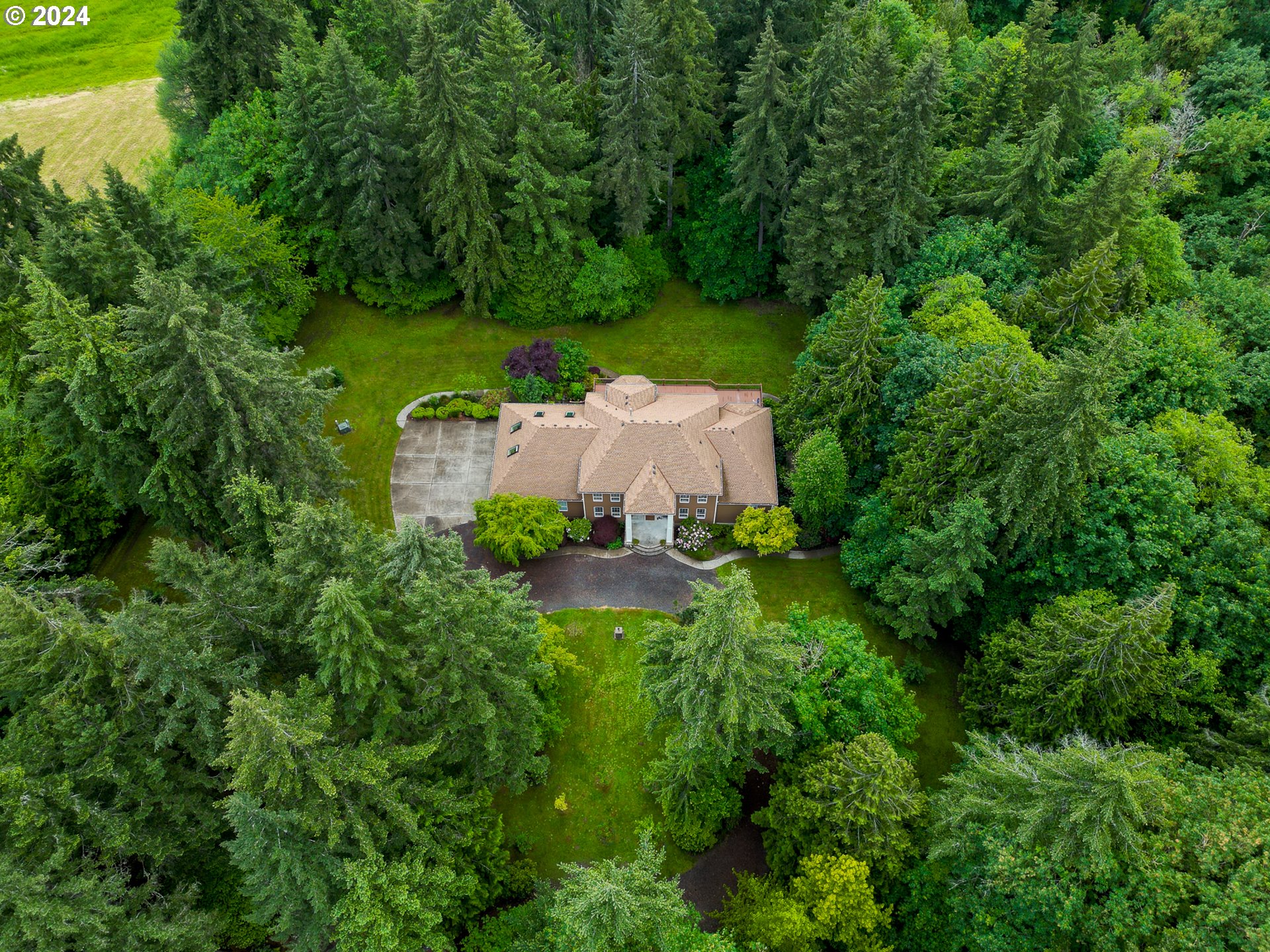 31500 Northwest 13th Avenue Ridgefield, WA 98642 - Photo 46 of 48 a view of a garden with large trees