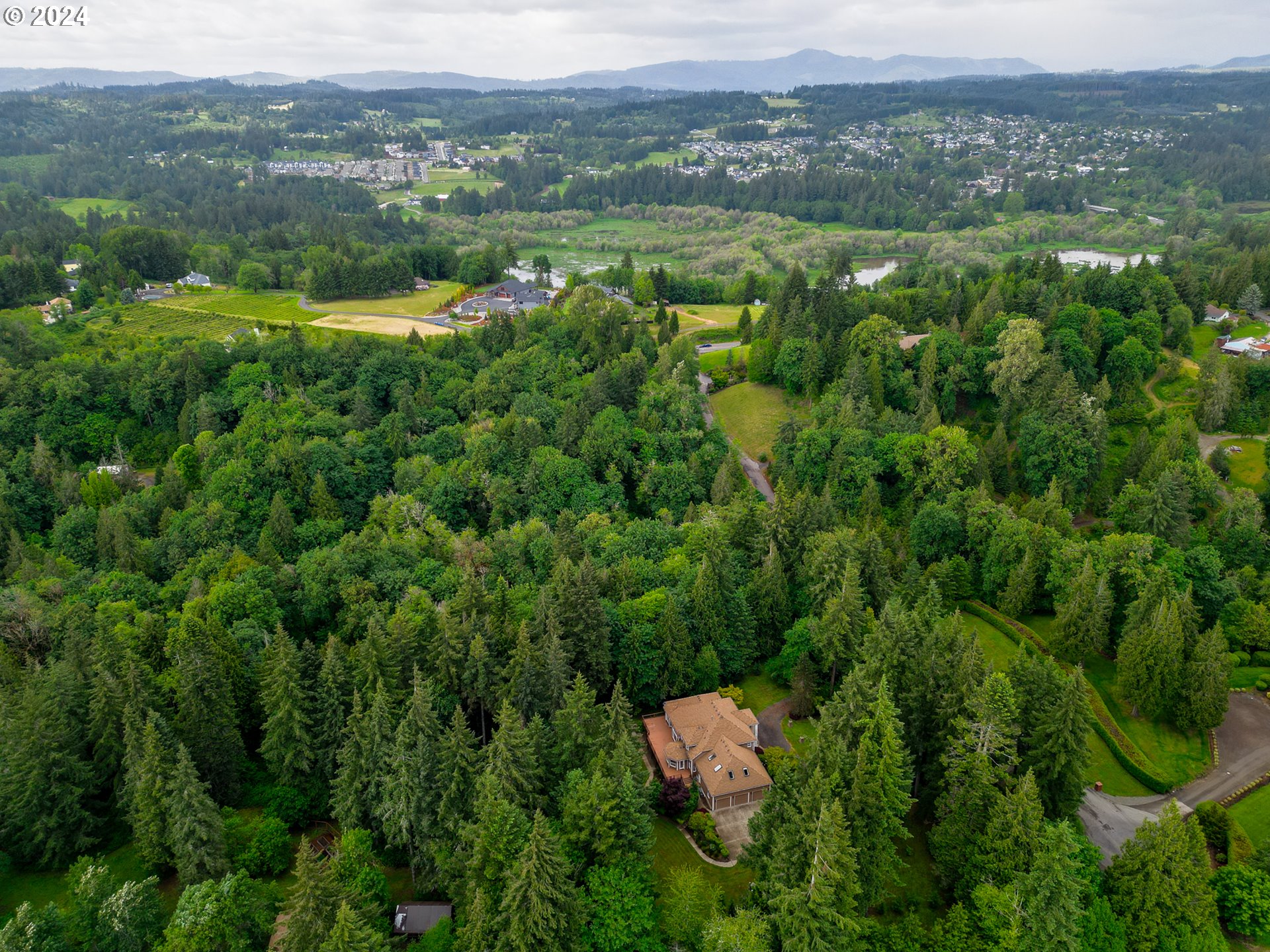 31500 Northwest 13th Avenue Ridgefield, WA 98642 - Photo 48 of 48 a view of a lush green forest with lots of trees
