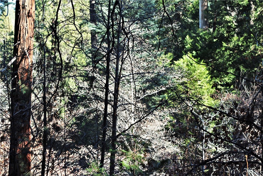 0 Maple Lake Skyforest, CA 92385 - Photo 12 of 25
