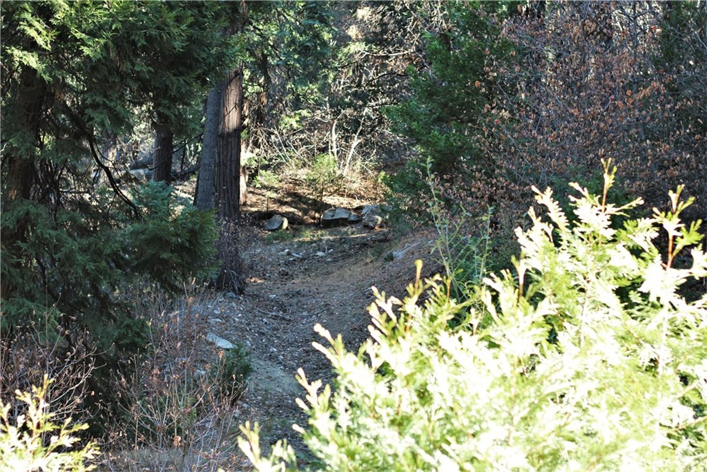 0 Maple Lake Skyforest, CA 92385 - Photo 16 of 25