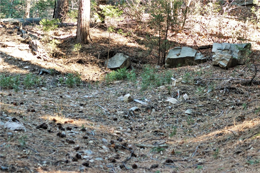 0 Maple Lake Skyforest, CA 92385 - Photo 17 of 25