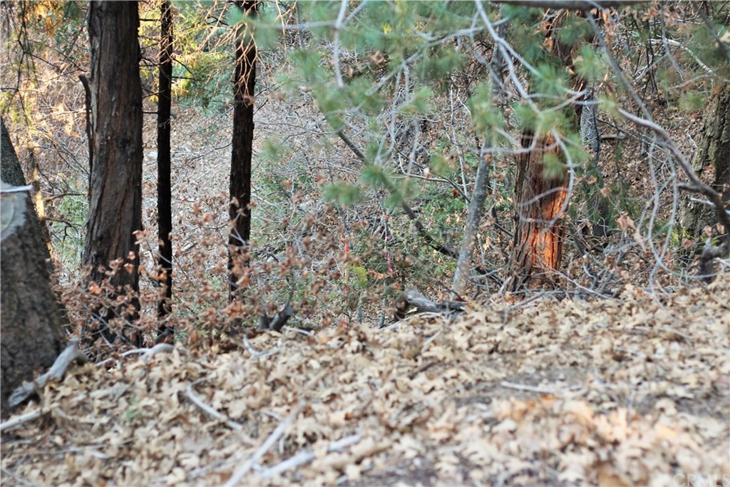 0 Maple Lake Skyforest, CA 92385 - Photo 20 of 25