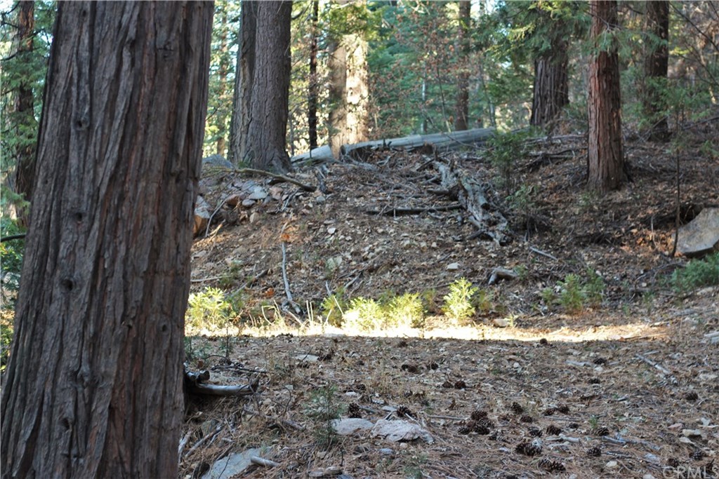 0 Maple Lake Skyforest, CA 92385 - Photo 3 of 25